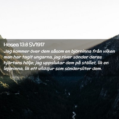 Picture 02 - Hosea 13:8 SV1917 - Jag kommer över dem såsom en björninna från - Bible Verse Picture