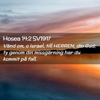 Picture 02 - Hosea 14:2 SV1917 - Vänd om, o Israel, till HERREN, din Gud; ty - Bible Verse Picture