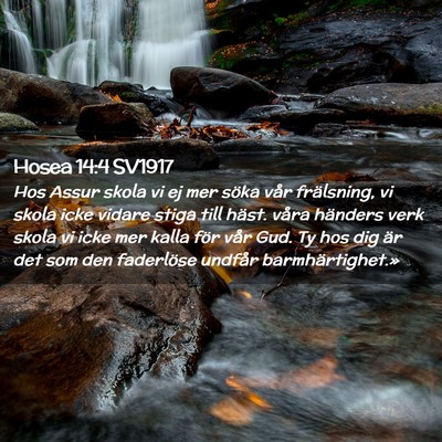 Picture 02 - Hosea 14:4 SV1917 - Hos Assur skola vi ej mer söka vår frälsning, - Bible Verse Picture