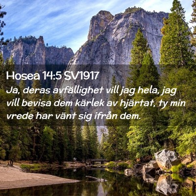 Picture 02 - Hosea 14:5 SV1917 - Ja, deras avfällighet vill jag hela, jag vill - Bible Verse Picture