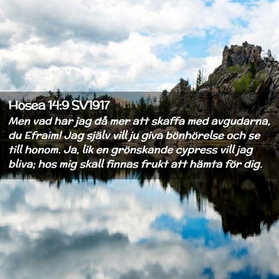 Picture 02 - Hosea 14:9 SV1917 - Men vad har jag då mer att skaffa med avgudarna, - Bible Verse Picture