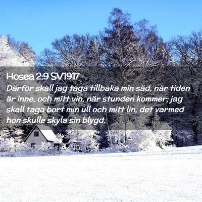 Picture 02 - Hosea 2:9 SV1917 - Därför skall jag taga tillbaka min säd, när - Bible Verse Picture