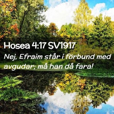 Picture 02 - Hosea 4:17 SV1917 - Nej, Efraim står i förbund med avgudar; må han - Bible Verse Picture