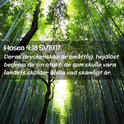 Picture 02 - Hosea 4:18 SV1917 - Deras dryckenskap är omåttlig. hejdlöst - Bible Verse Picture