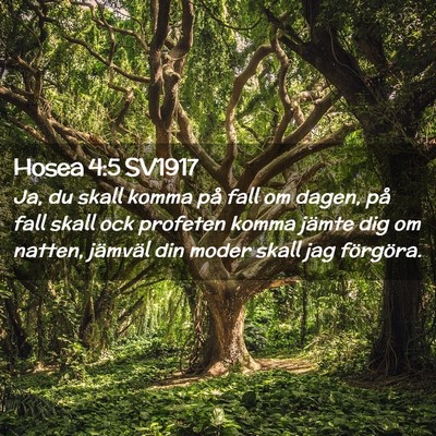 Picture 02 - Hosea 4:5 SV1917 - Ja, du skall komma på fall om dagen, på fall - Bible Verse Picture