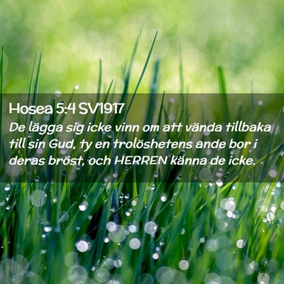 Picture 02 - Hosea 5:4 SV1917 - De lägga sig icke vinn om att vända tillbaka - Bible Verse Picture