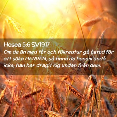 Picture 02 - Hosea 5:6 SV1917 - Om de än med får och fäkreatur gå åstad för - Bible Verse Picture
