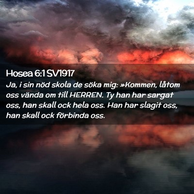 Picture 02 - Hosea 6:1 SV1917 - Ja, i sin nöd skola de söka mig: »Kommen, - Bible Verse Picture
