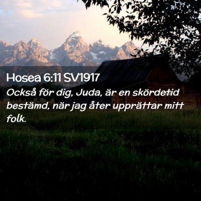Picture 02 - Hosea 6:11 SV1917 - Också för dig, Juda, är en skördetid - Bible Verse Picture