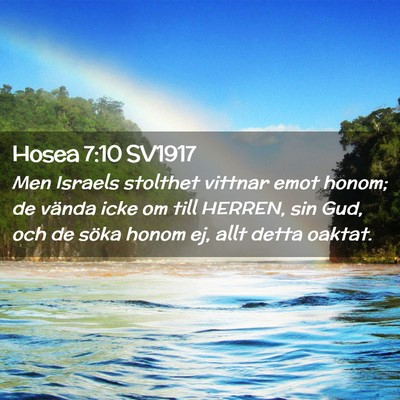 Picture 02 - Hosea 7:10 SV1917 - Men Israels stolthet vittnar emot honom; de - Bible Verse Picture