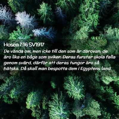 Picture 02 - Hosea 7:16 SV1917 - De vända om, men icke till den som är därovan; - Bible Verse Picture