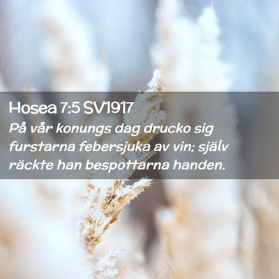 Picture 02 - Hosea 7:5 SV1917 - På vår konungs dag drucko sig furstarna - Bible Verse Picture