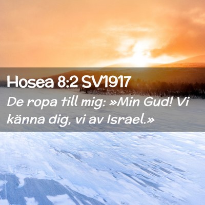 Picture 02 - Hosea 8:2 SV1917 - De ropa till mig: »Min Gud! Vi känna dig, vi av - Bible Verse Picture