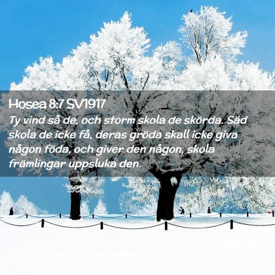Picture 02 - Hosea 8:7 SV1917 - Ty vind så de, och storm skola de skörda. Säd - Bible Verse Picture