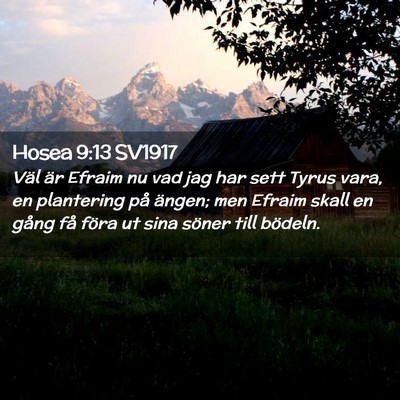 Picture 02 - Hosea 9:13 SV1917 - Väl är Efraim nu vad jag har sett Tyrus vara, - Bible Verse Picture