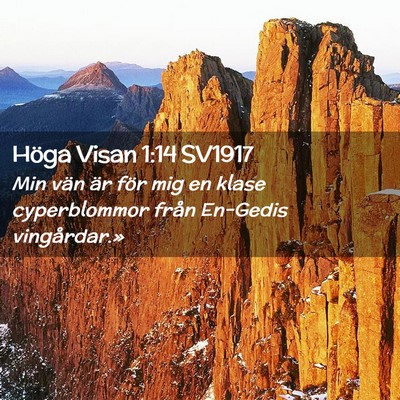 Picture 02 - Höga Visan 1:14 SV1917 - Min vän är för mig en klase cyperblommor från - Bible Verse Picture