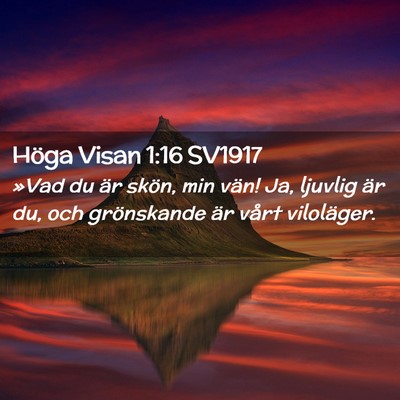 Picture 02 - Höga Visan 1:16 SV1917 - »Vad du är skön, min vän! Ja, ljuvlig är du, - Bible Verse Picture