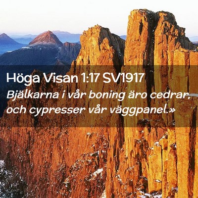 Picture 02 - Höga Visan 1:17 SV1917 - Bjälkarna i vår boning äro cedrar, och - Bible Verse Picture