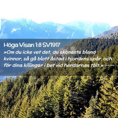 Picture 02 - Höga Visan 1:8 SV1917 - »Om du icke vet det, du skönaste bland kvinnor, - Bible Verse Picture