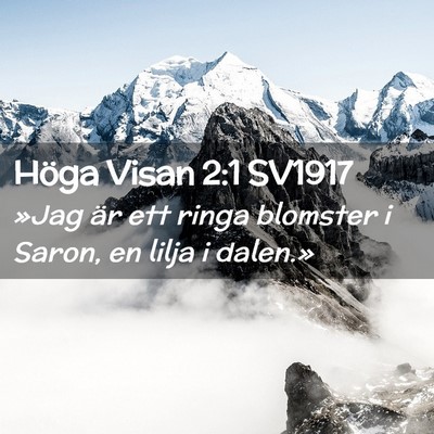 Picture 02 - Höga Visan 2:1 SV1917 - »Jag är ett ringa blomster i Saron, en lilja i - Bible Verse Picture