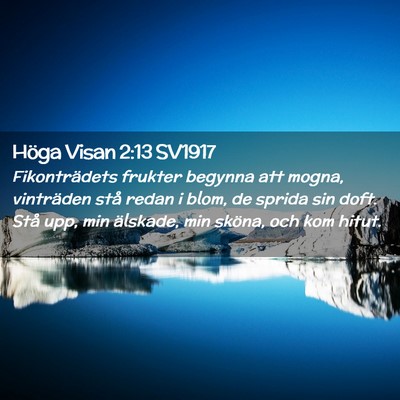 Picture 02 - Höga Visan 2:13 SV1917 - Fikonträdets frukter begynna att mogna, - Bible Verse Picture