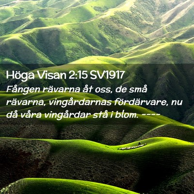 Picture 02 - Höga Visan 2:15 SV1917 - Fången rävarna åt oss, de små rävarna, - Bible Verse Picture