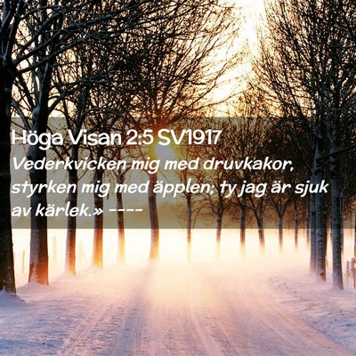 Picture 02 - Höga Visan 2:5 SV1917 - Vederkvicken mig med druvkakor, styrken mig med - Bible Verse Picture