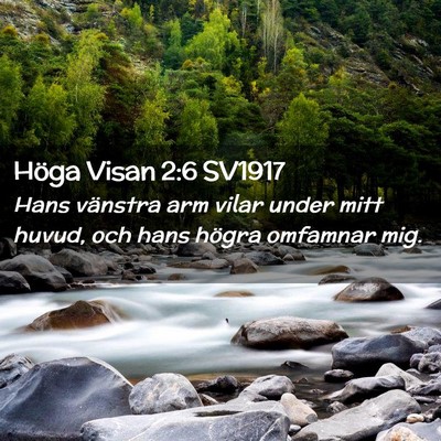 Picture 02 - Höga Visan 2:6 SV1917 - Hans vänstra arm vilar under mitt huvud, och - Bible Verse Picture