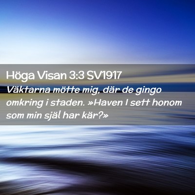 Picture 02 - Höga Visan 3:3 SV1917 - Väktarna mötte mig, där de gingo omkring i - Bible Verse Picture