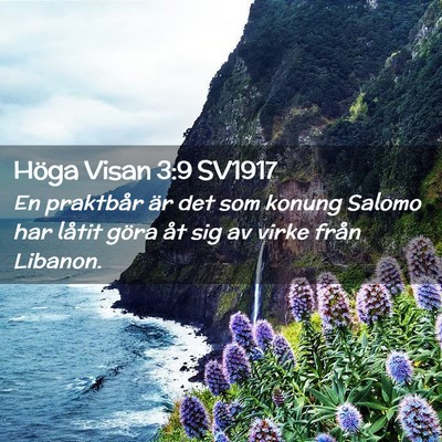 Picture 02 - Höga Visan 3:9 SV1917 - En praktbår är det som konung Salomo har låtit - Bible Verse Picture