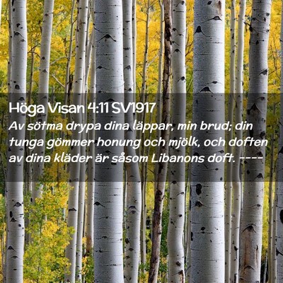 Picture 02 - Höga Visan 4:11 SV1917 - Av sötma drypa dina läppar, min brud; din tunga - Bible Verse Picture