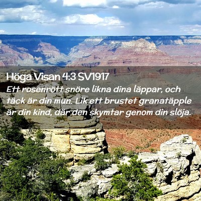 Picture 02 - Höga Visan 4:3 SV1917 - Ett rosenrött snöre likna dina läppar, och - Bible Verse Picture