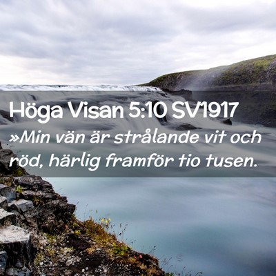 Picture 02 - Höga Visan 5:10 SV1917 - »Min vän är strålande vit och röd, härlig - Bible Verse Picture