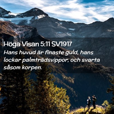 Picture 02 - Höga Visan 5:11 SV1917 - Hans huvud är finaste guld, hans lockar - Bible Verse Picture