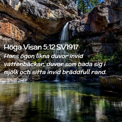 Picture 02 - Höga Visan 5:12 SV1917 - Hans ögon likna duvor invid vattenbäckar, duvor - Bible Verse Picture
