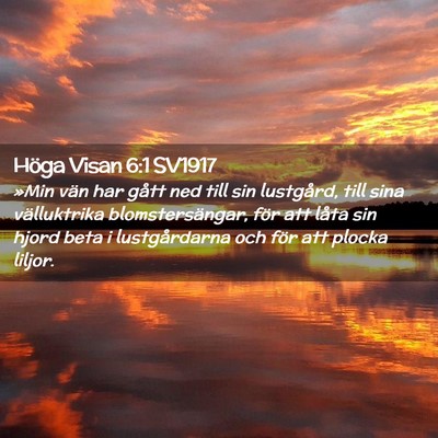 Picture 02 - Höga Visan 6:1 SV1917 - »Min vän har gått ned till sin lustgård, till - Bible Verse Picture