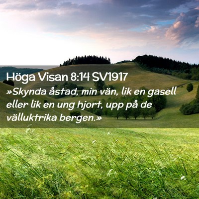 Picture 02 - Höga Visan 8:14 SV1917 - »Skynda åstad, min vän, lik en gasell eller - Bible Verse Picture