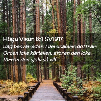 Picture 02 - Höga Visan 8:4 SV1917 - Jag besvär eder, I Jerusalems döttrar: Oroen - Bible Verse Picture
