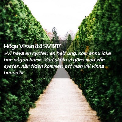 Picture 02 - Höga Visan 8:8 SV1917 - »Vi hava en syster, en helt ung, som ännu icke - Bible Verse Picture