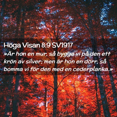 Picture 02 - Höga Visan 8:9 SV1917 - »Är hon en mur, så bygga vi på den ett krön - Bible Verse Picture