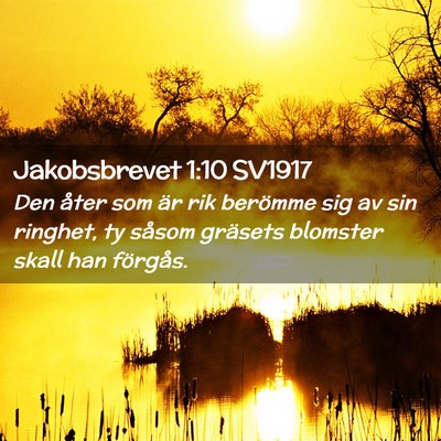 Picture 02 - Jakobsbrevet 1:10 SV1917 - Den åter som är rik berömme sig av sin - Bible Verse Picture