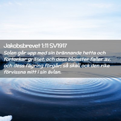 Picture 02 - Jakobsbrevet 1:11 SV1917 - Solen går upp med sin brännande hetta och - Bible Verse Picture