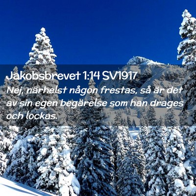 Picture 02 - Jakobsbrevet 1:14 SV1917 - Nej, närhelst någon frestas, så är det av sin - Bible Verse Picture