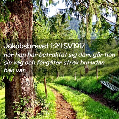 Picture 02 - Jakobsbrevet 1:24 SV1917 - när han har betraktat sig däri, går han sin - Bible Verse Picture