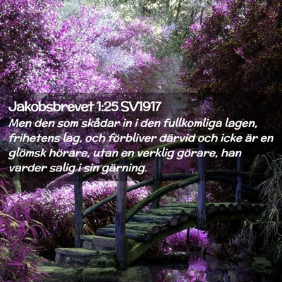 Picture 02 - Jakobsbrevet 1:25 SV1917 - Men den som skådar in i den fullkomliga lagen, - Bible Verse Picture