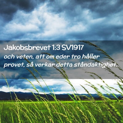 Picture 02 - Jakobsbrevet 1:3 SV1917 - och veten, att om eder tro håller provet, så - Bible Verse Picture