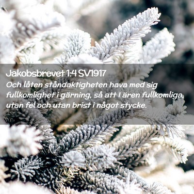 Picture 02 - Jakobsbrevet 1:4 SV1917 - Och låten ståndaktigheten hava med sig - Bible Verse Picture