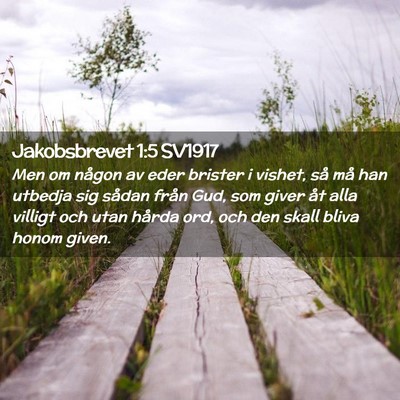 Picture 02 - Jakobsbrevet 1:5 SV1917 - Men om någon av eder brister i vishet, så må - Bible Verse Picture