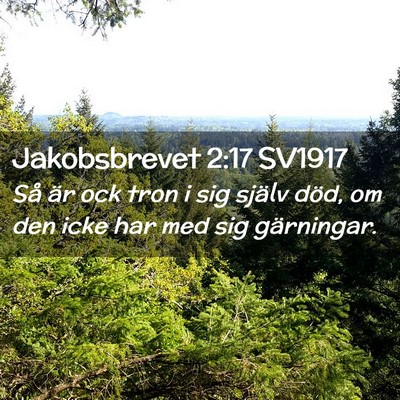 Picture 02 - Jakobsbrevet 2:17 SV1917 - Så är ock tron i sig själv död, om den icke - Bible Verse Picture