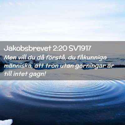Picture 02 - Jakobsbrevet 2:20 SV1917 - Men vill du då förstå, du fåkunniga - Bible Verse Picture